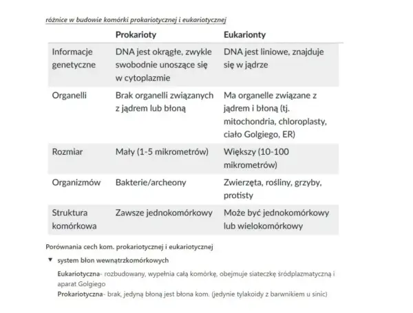 Komórki prokariotyczne i eukariotyczne - czy jądro to jedyna różnica?