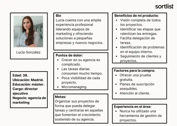 Buyer persona B2B: Lucía, 38, directora ejecutiva de agencia de marketing en Madrid. Busca delegar tareas y crecer.