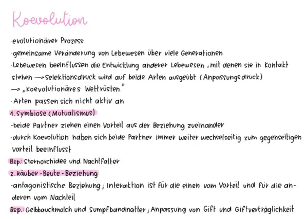 Koevolution: Gemeinsame Entwicklung von Lebewesen, die sich gegenseitig beeinflussen, wie bei der Sternorchidee und dem Nachtfalter.