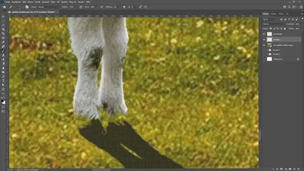 Jak zrobić cienie w Photoshopie, by uzyskać realistyczny efekt