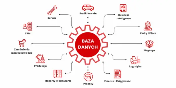 Centralna baza danych integruje hurtownię danych dla CRM, produkcji, logistyki, finansów, kadr, magazynu i innych.