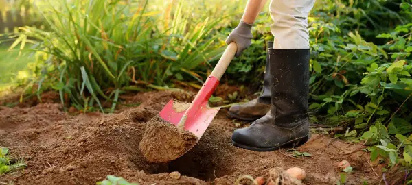 Jak jest łopata po angielsku? Odkryj różnice między shovel a spade
