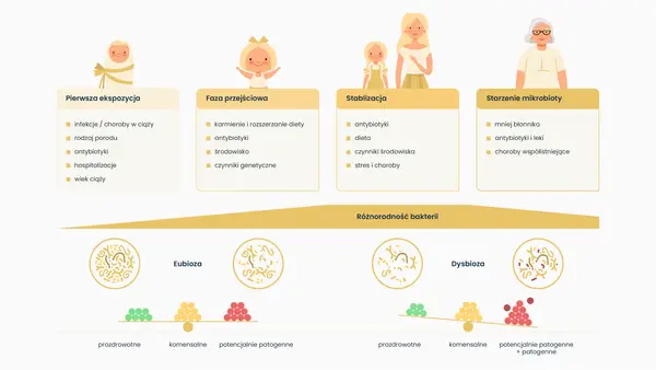 Diagram przedstawia etapy kształtowania się mikrobioty jelitowej od narodzin do starości, porównując eubiozę i dysbiozę.