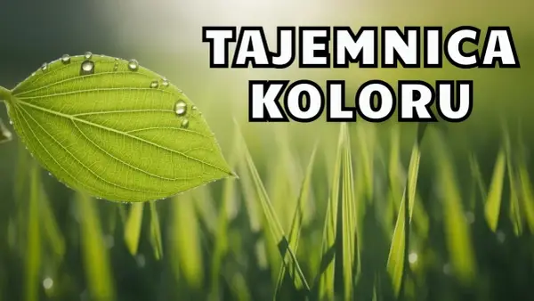 Dlaczego trawa jest zielona? Nauka o chlorofilu i fizyce światła
