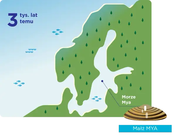 Do jakiego oceanu należy morze bałtyckie? Odkryj jego tajemnice