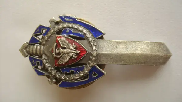 Odznaka bojowa: Ile kosztuje i co naprawdę symbolizuje?