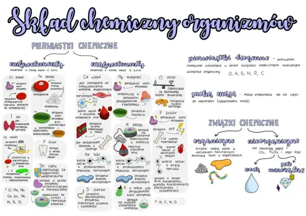 Skład chemiczny organizmów - Zrozum chemię życia bez chaosu