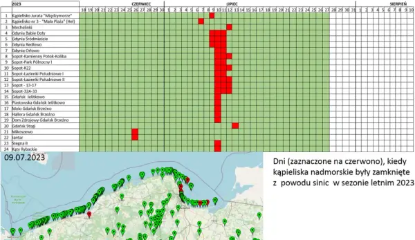 Bałtyk: Jaka woda? Zasolenie, temperatura, sinice pełna prawda