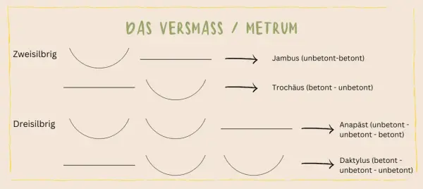 Schema zum metrum bestimmen: Zweisilbrig (Jambus, Trochäus) und Dreisilbrig (Anapäst, Daktylus) mit Betonungsmustern.