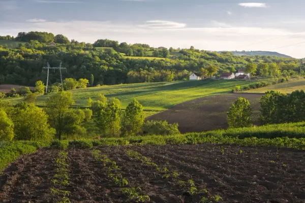Działka rolno-budowlana co to znaczy? Kluczowe cechy i zasady zakupu