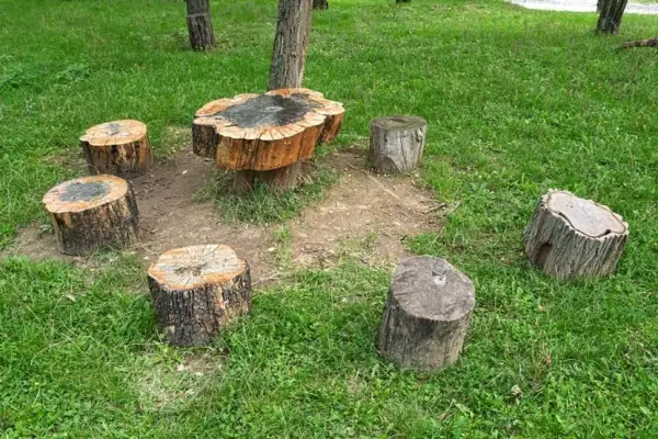 Jak ozdobić pień drzewa w ogrodzie i nadać mu wyjątkowy charakter