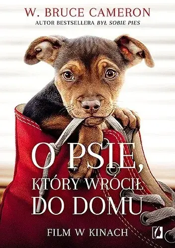O psie który wrócił do domu – recenzje, streszczenie i gdzie kupić książkę