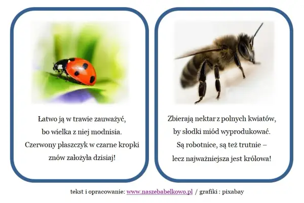 Zagadki o łące: kreatywne sposoby na naukę i zabawę dla dzieci
