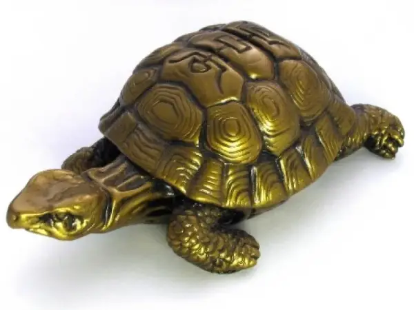 Dlaczego żółw jest święty w Azji? Oto symbolika, która Cię zadziwi