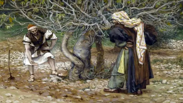 Przypowieść o drzewie figowym: znaczenie, symbolika i współczesne refleksje