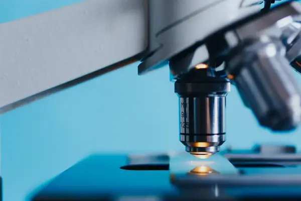 Co można studiować po biol-chem? Najlepsze kierunki i perspektywy zawodowe