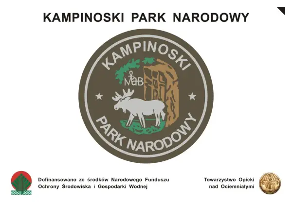 Łoś symbolem Kampinoskiego Parku Narodowego - poznaj historię