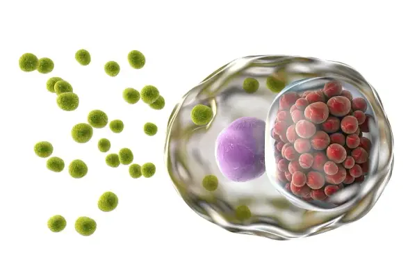 Chlamydia jakie badania? Odkryj skuteczne metody diagnostyki
