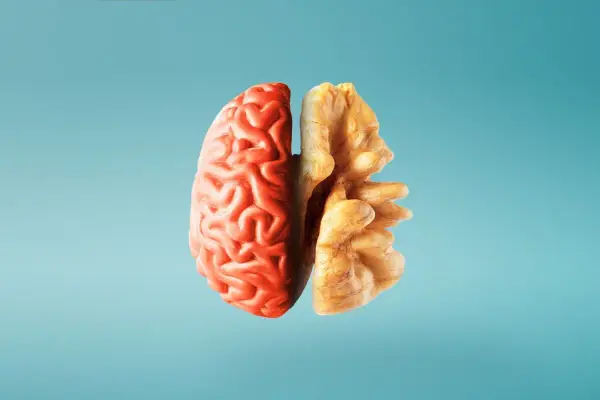 Metà cervello rosso e metà noce, un'immagine che evoca i 12 alimenti che fanno bene al cervello e alla memoria.