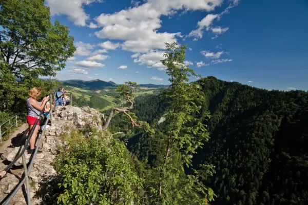 Widok z góry na turystów na skale, las i góry w tle.