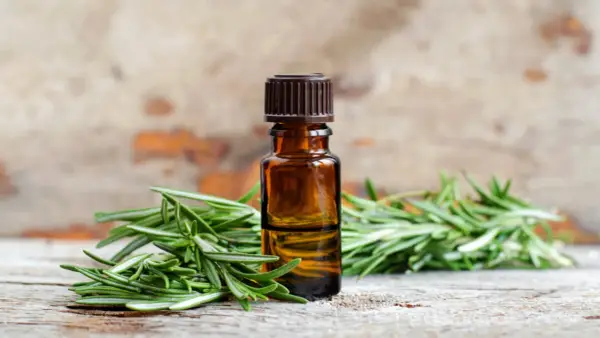 Aceite esencial de romero para el pelo, con ramitas frescas de romero sobre madera rústica.