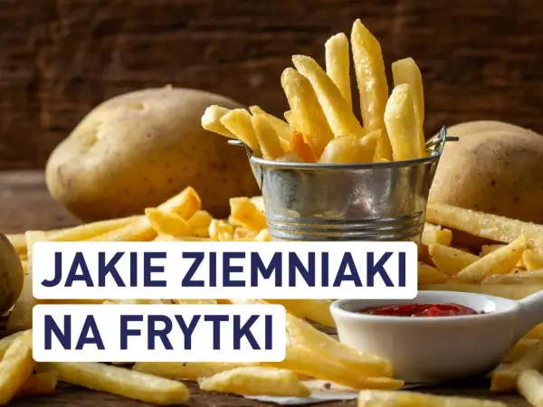 Złociste frytki w metalowym wiaderku i obok surowe ziemniaki. Idealne ziemniaki na frytki to podstawa chrupiącej przekąski.