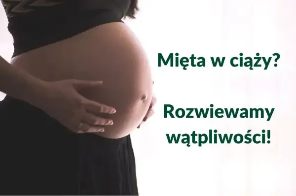 Mięta w ciąży - kiedy pomaga, a kiedy szkodzi?