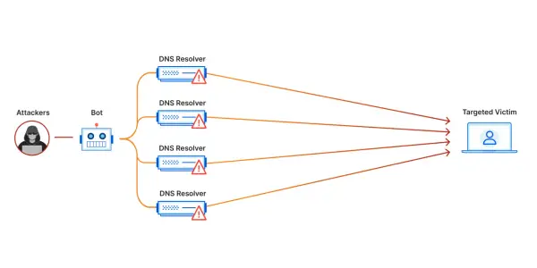 Angreifer nutzen einen Bot, um mehrere DNS-Resolver zu überlasten und einen DDoS-Angriff auf ein Ziel auszuführen.