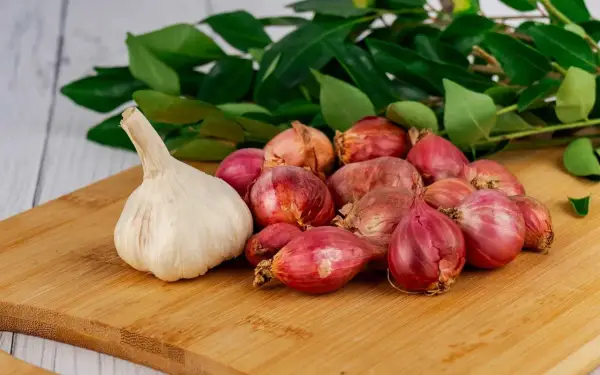 Knoblauch und Schalotten auf einem Holzbrett, bereit als Hausmittel gegen Ohrenschmerzen. Grüne Blätter im Hintergrund.