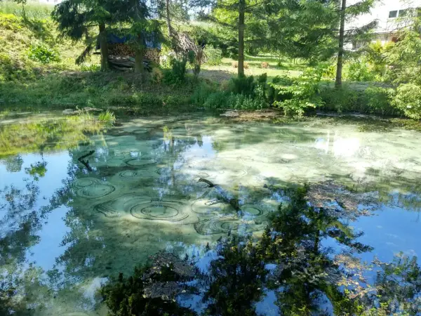 Dłubniański Park Krajobrazowy: Ucieczka z Krakowa. Co zobaczyć?