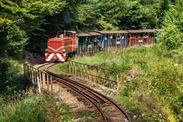 Czerwona lokomotywa z wagonami pełnymi turystów jedzie po krętej trasie. Kolejka bieszczadzka przemierza malownicze tereny, a która trasa ciekawsza, to już kwestia gustu!