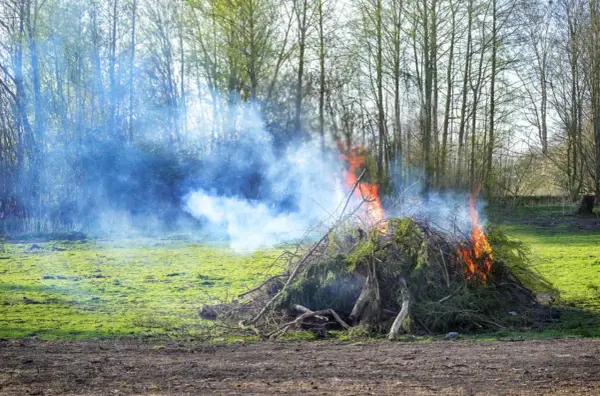 Ogień i dym z palonych gałęzi na podwórku. Uważaj, bo to może być mandat za palenie śmieci.