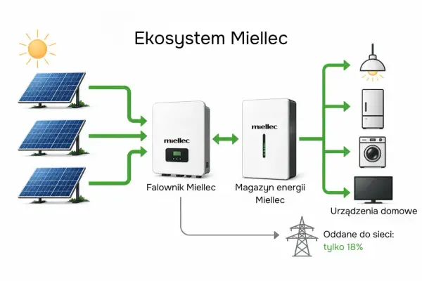Fotowoltaika - Jak zmaksymalizować zyski z magazynem energii?