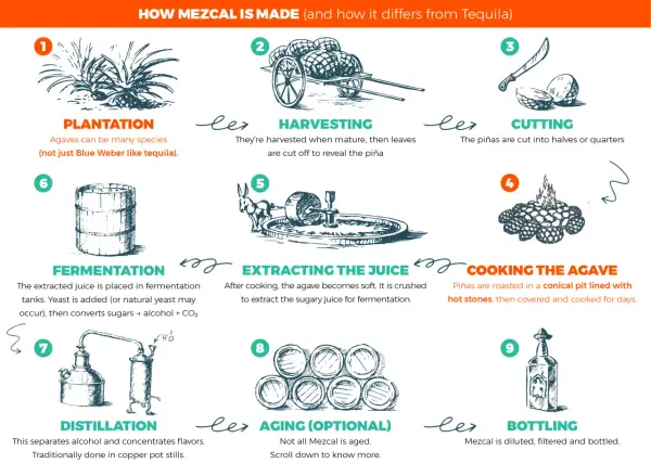 Schritte der Mezcal Herstellung: Anbau, Ernte, Schneiden, Kochen, Zerkleinern, Gärung, Destillation, optional Reifung und Abfüllung.