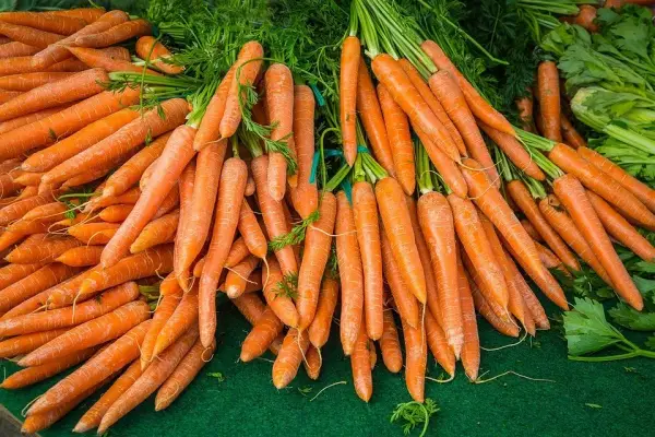 Ile kcal ma marchewka: Pełna wartość kaloryczna i wpływ na dietę
