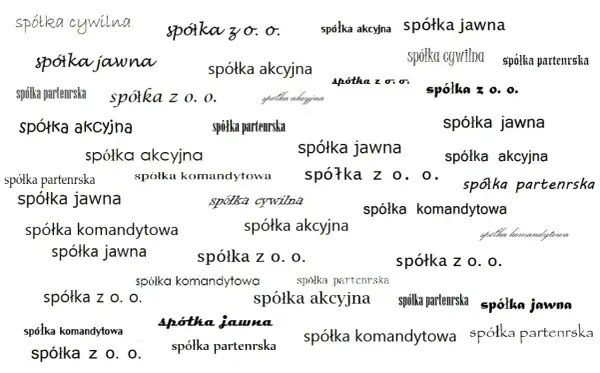 Rodzaje spółek w Polsce - jak wybrać najlepszą formę firmy?
