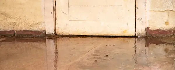 Nasser Keller: Wasser steht vor einer alten Holztür und an der Wand. Was tun?