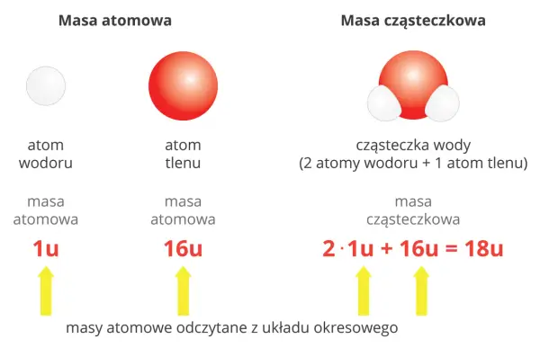 Masa cząsteczkowa krok po kroku - jak liczyć bez pomyłek