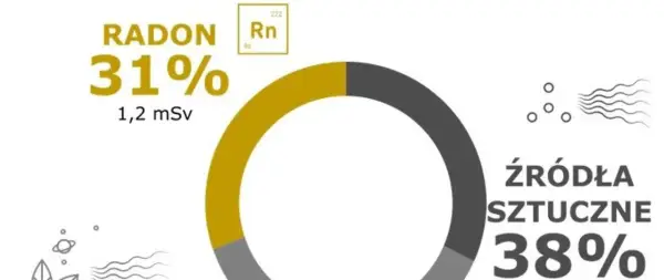 Radon stanowi 31% promieniowania (1,2 mSv). Źródła sztuczne to 38%.