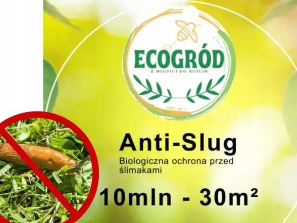 Ślimak na trawie z przekreśleniem. Produkt "Anti-Slug" z logo "EcoGród" to biologiczna ochrona przed ślimakami.