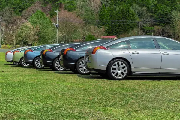 Rząd eleganckich samochodów Citroën C6 w różnych kolorach, zaparkowanych na trawie, z lasem w tle.