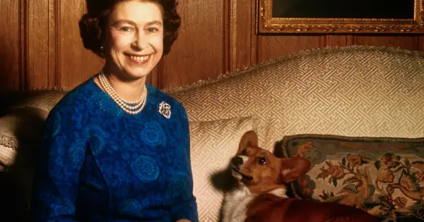 Królowa Elżbieta uśmiecha się, siedząc obok swojego wiernego psa rasy corgi.