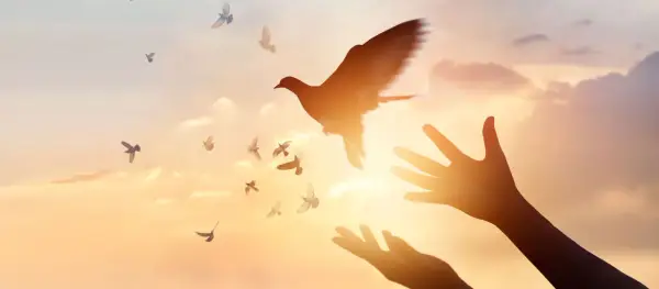 Hände öffnen sich zum Himmel, Tauben fliegen empor. Ein Symbol für Pfingsten und den Heiligen Geist.
