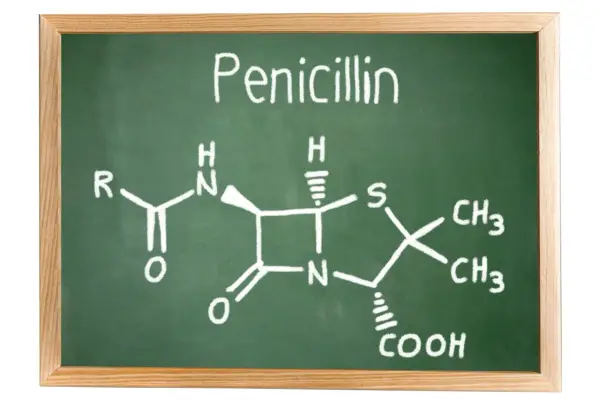 Struktura chemiczna penicyliny narysowana kredą na zielonej tablicy.