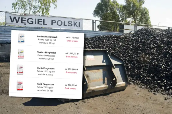 Węgiel 2026: Jak kupić w PGG bez zapisów? Poradnik