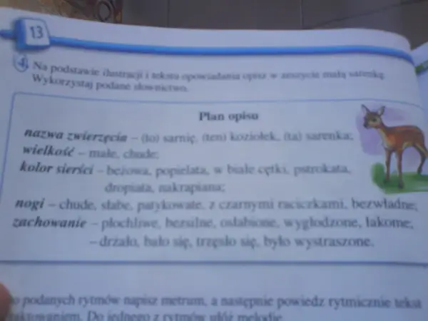 Opis zwierzęcia klasa 3: mała, chuda sarenka o beżowej sierści, płochliwa i wystraszona.