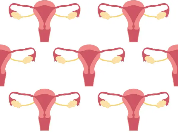 Schemat układu rozrodczego kobiety. Badanie CA 125 może pomóc w diagnostyce chorób ginekologicznych.
