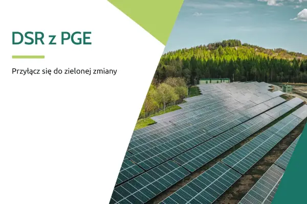 DSR w Polsce - Jak zarabiać na elastycznym poborze energii?