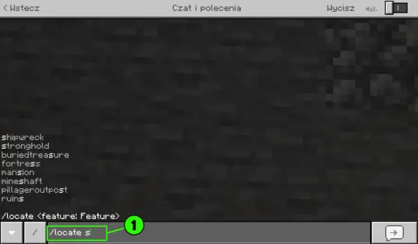 Ekran czatu w Minecraft, pokazujący jak wpisywać komendy w Minecraft. Widoczna lista struktur do zlokalizowania, np. "shipwreck", "stronghold".