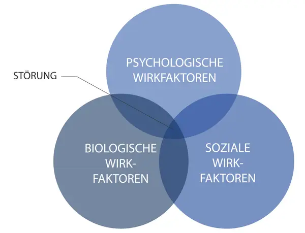 Venn-Diagramm zeigt, wie psychologische, biologische und soziale Faktoren zur Entstehung von Störungen beitragen. Ein Kernkonzept der Gesundheitspsychologie.
